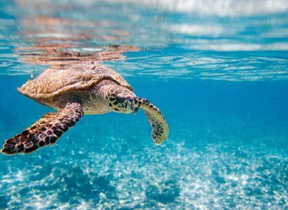 La plage du Naufrage est-elle encore accessible ?